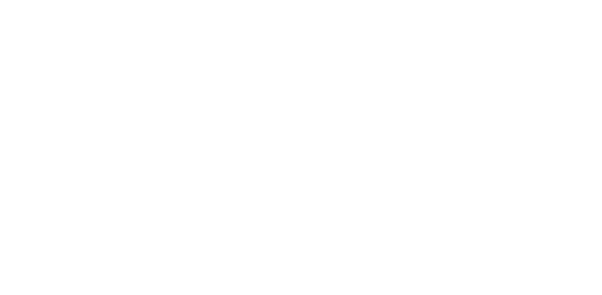 Logo BARLI